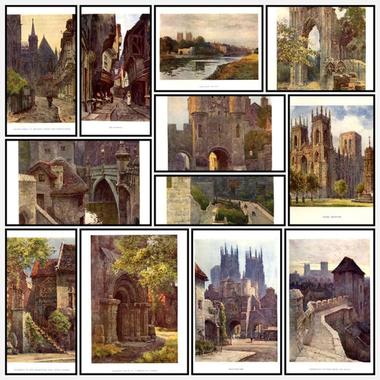 A snapshot of the images