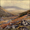 Dartmoor 1913 - Ernest Haslehust (1866-1949) - 12 images
