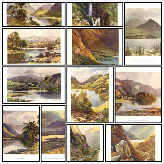 A snapshot of the images