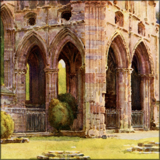 Digital Download - 10 images