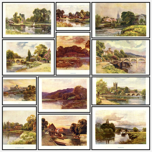 A snapshot of the images