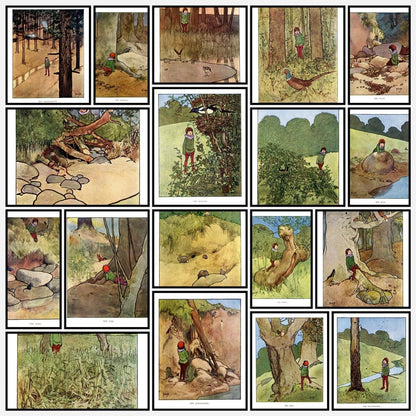 A snapshot of some of the images
