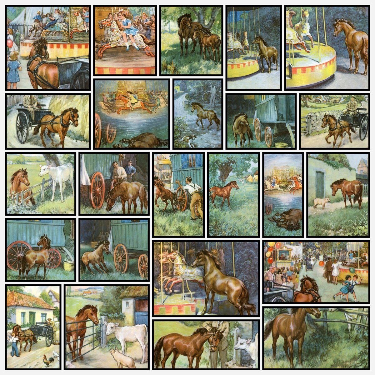 A snapshot of the images