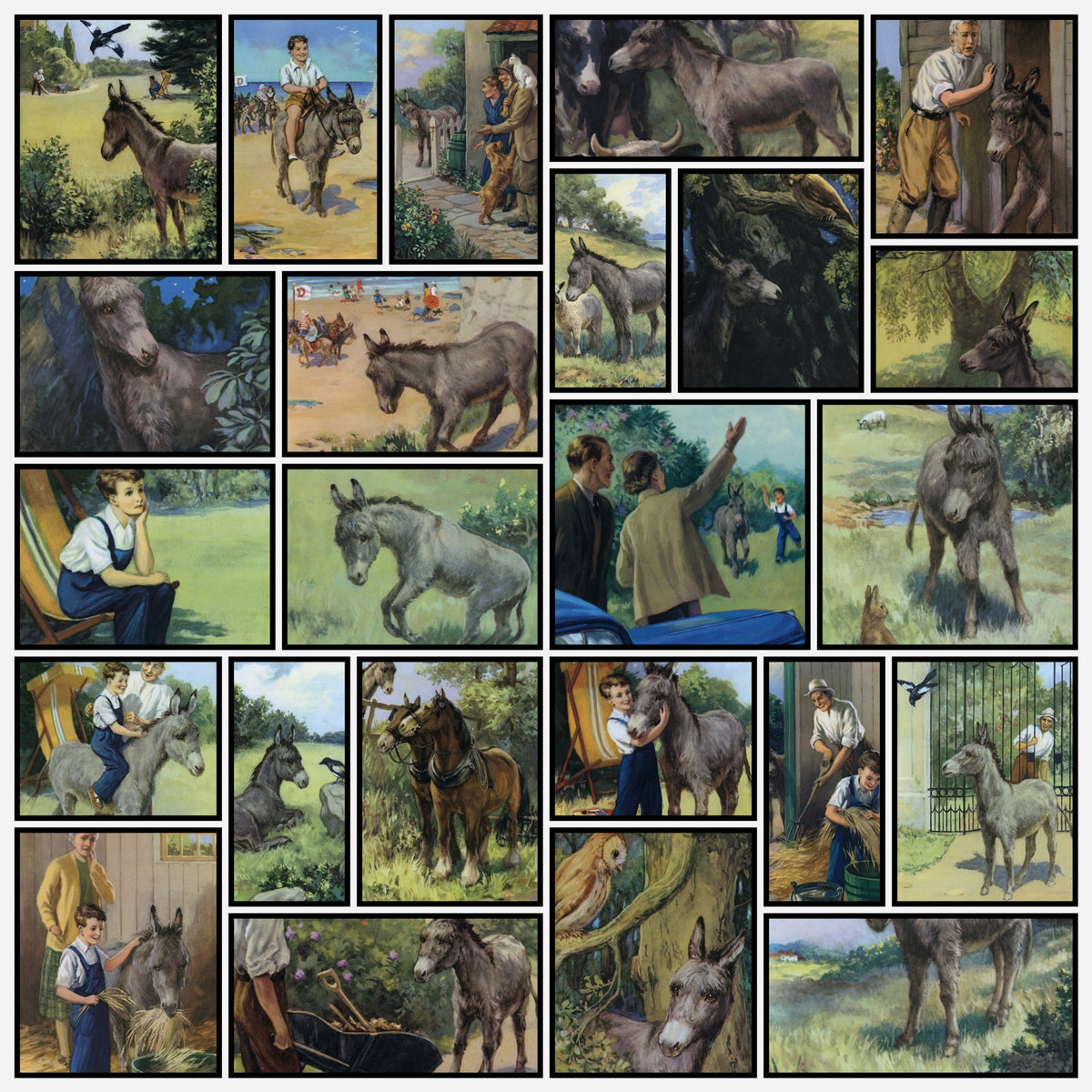 A snapshot of the images