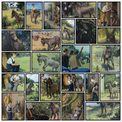 A snapshot of the images