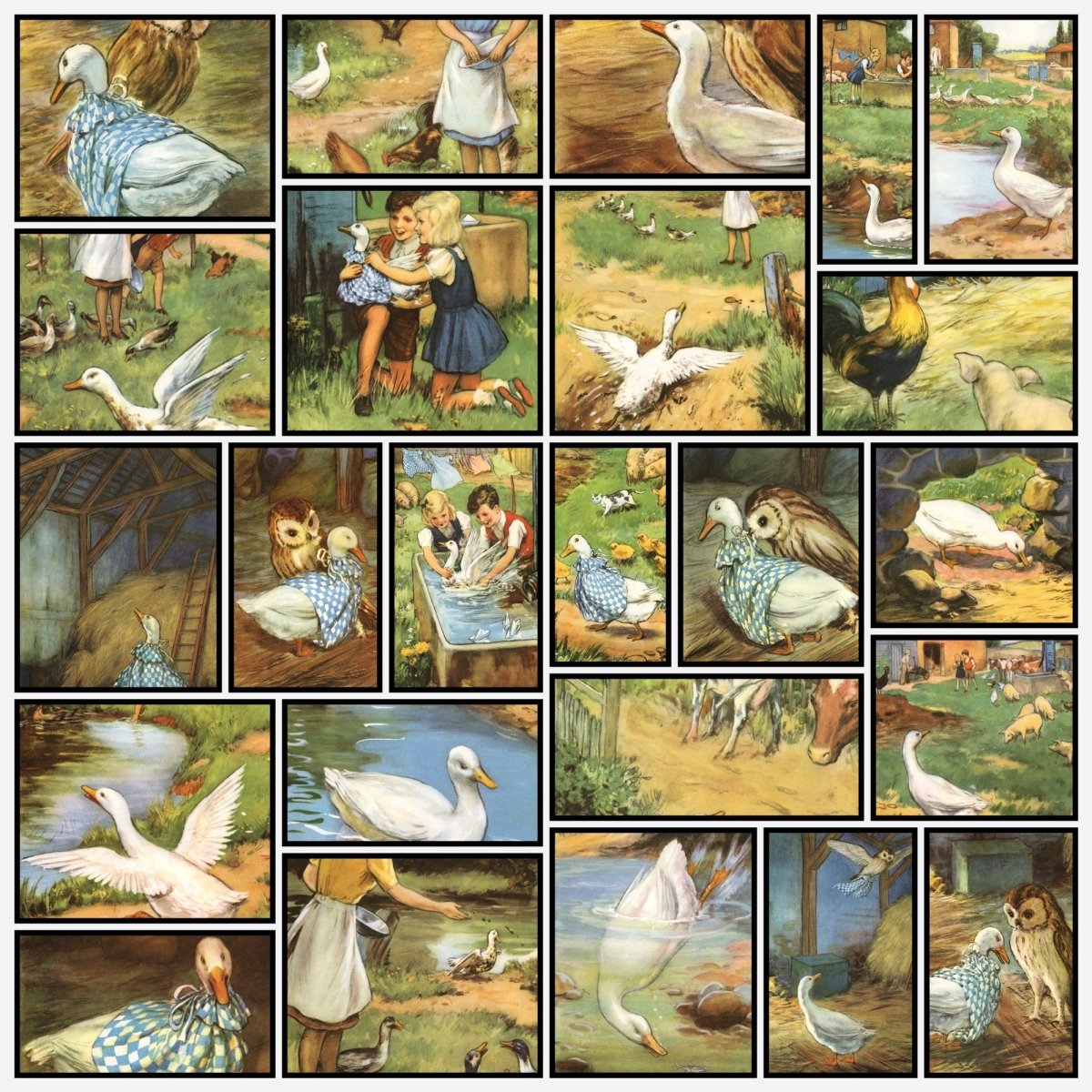 A snapshot of the images