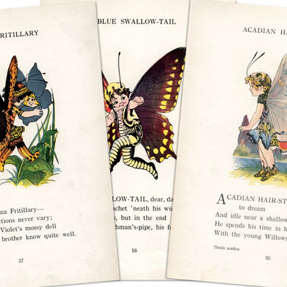 Butterfly Babies 1914 - Marion T. 'Penny' Ross - 63 images | A snapshot of some of the images