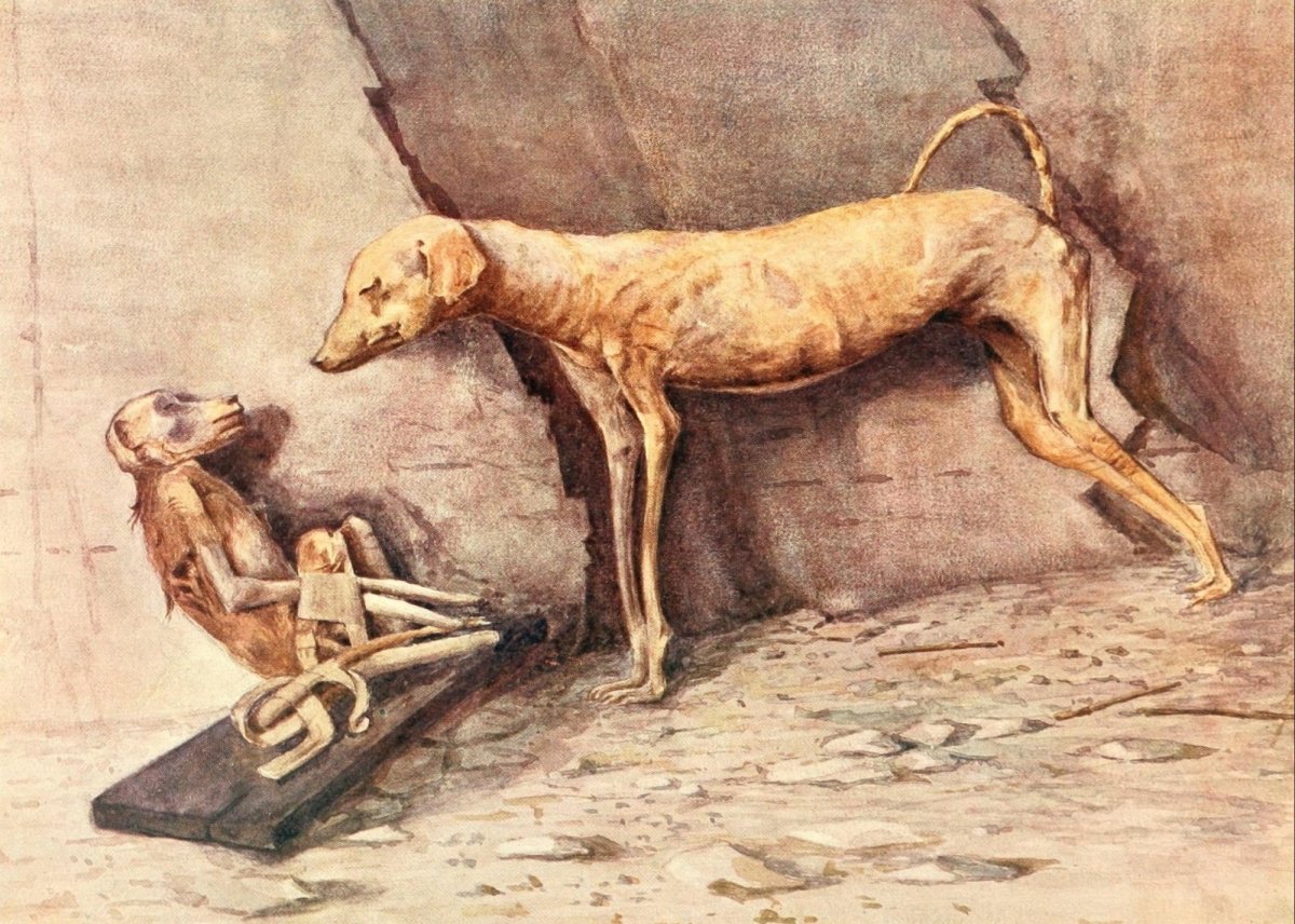 The Tomb of Siphtah 1908 - Ernest Harold Jones - 7 images | Dimensions 2361 x 1685 pixels