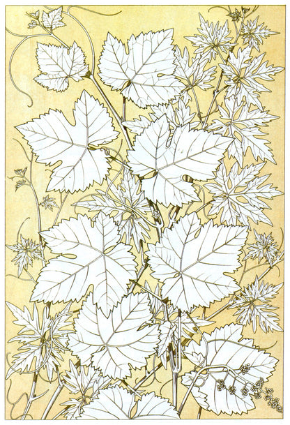 Owen Jones's Grammar of Ornament 101 Public Domain Images to Download | Dimensions 4520 x 6620 pixels