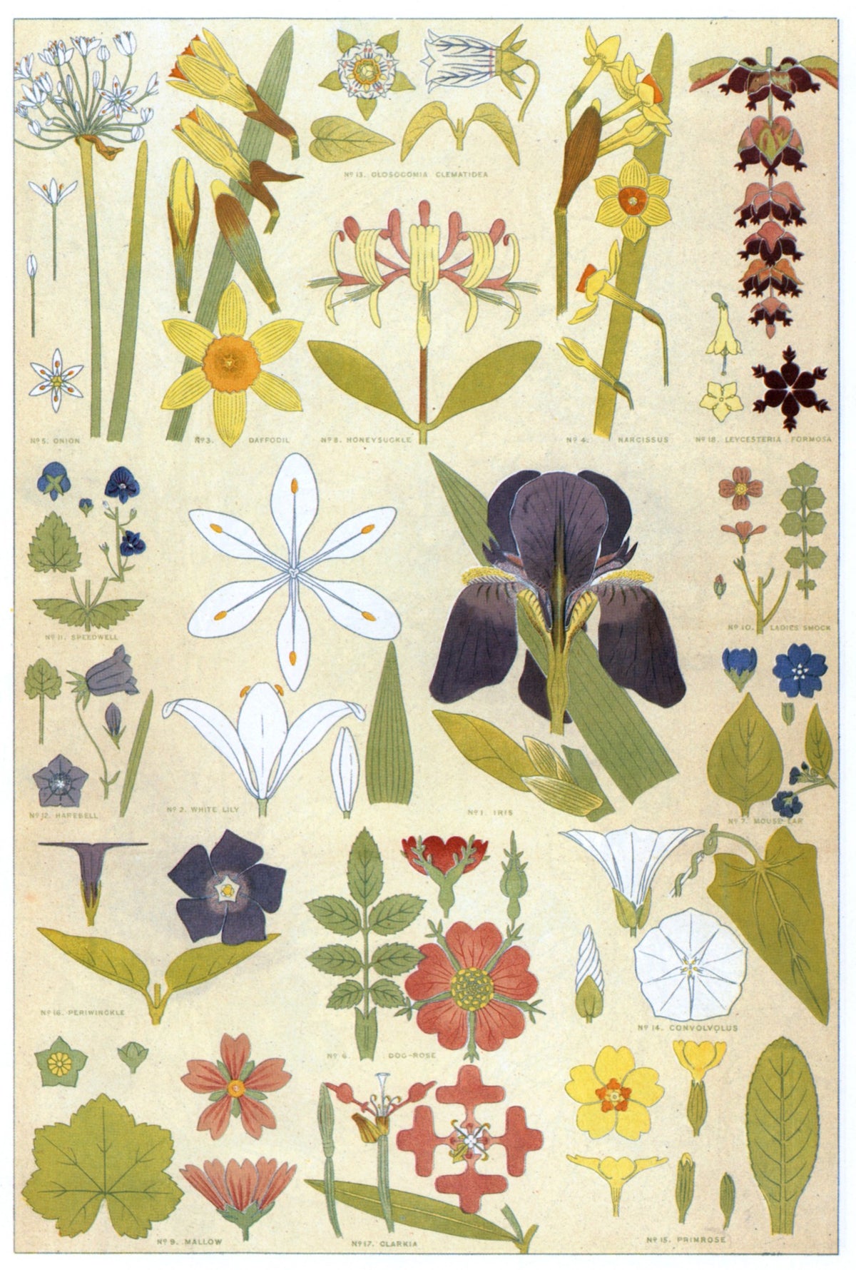 Owen Jones's Grammar of Ornament 101 Public Domain Images to Download | Dimensions 4473 x 6633 pixels