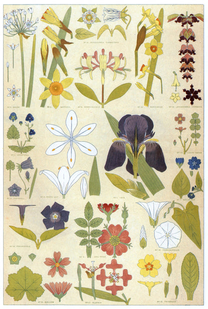 Owen Jones's Grammar of Ornament 101 Public Domain Images to Download | Dimensions 4473 x 6633 pixels
