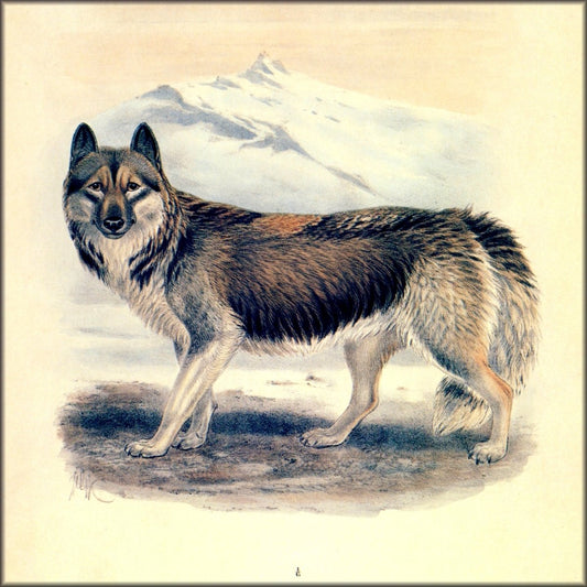 Digital Download - 1 image