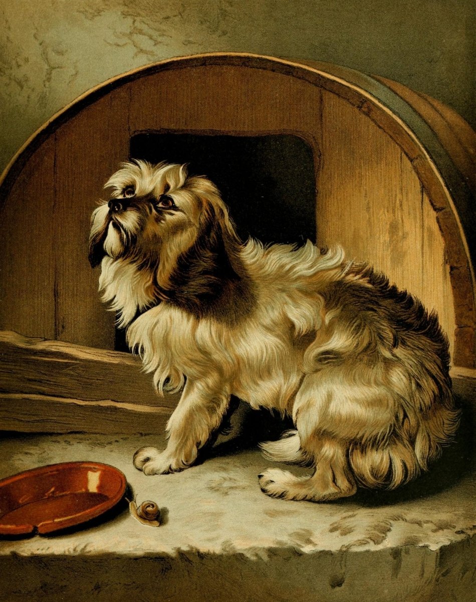 No Place Like Home - Edwin Landseer - 8 images | Dimensions 2236 x 2824 pixels
