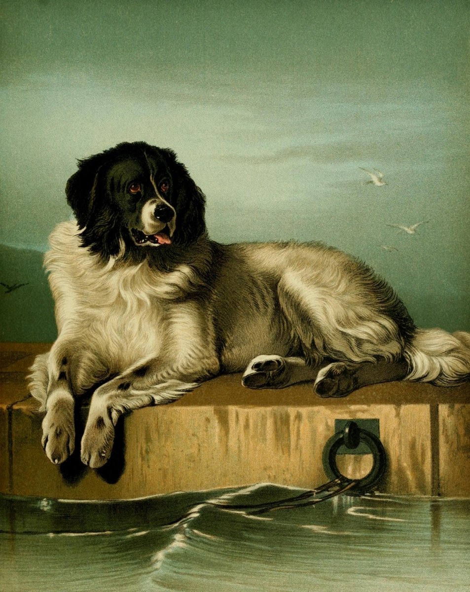 The Shepherd's Dog 1870 - Edwin Landseer - 8 images | Dimensions 2224 x 2800 pixels