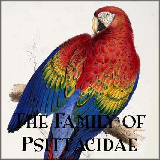 Digital Download - 42 images