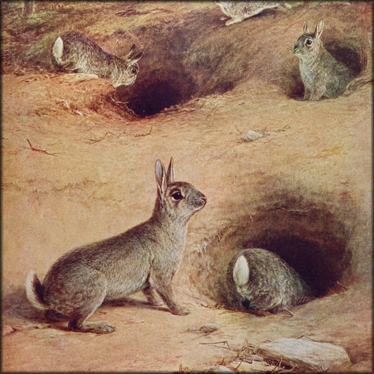 William Luker Jr (1867-1951) - Rabbits | Digital Download - 1 image