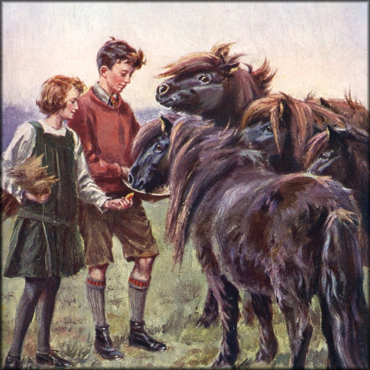 William Luker Jr - Shetland Ponies in their Winter Coats | Digital Download - 1 image