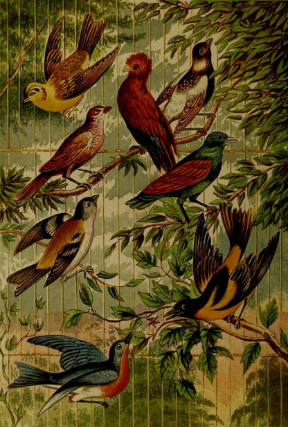 Rustic Adornments for Homes of Taste 1870 - Alexander Lydon | Dimensions 2064 x 3060 pixels