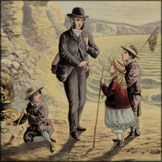 Sea-side Walks of a Naturalist 1870 - Alexander Lydon | Digital Download - 8 images