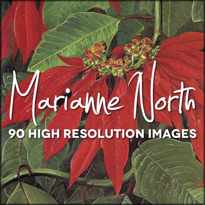 Marianne North Botanical Artwork in the Public Domain | Digital Download - 90 images