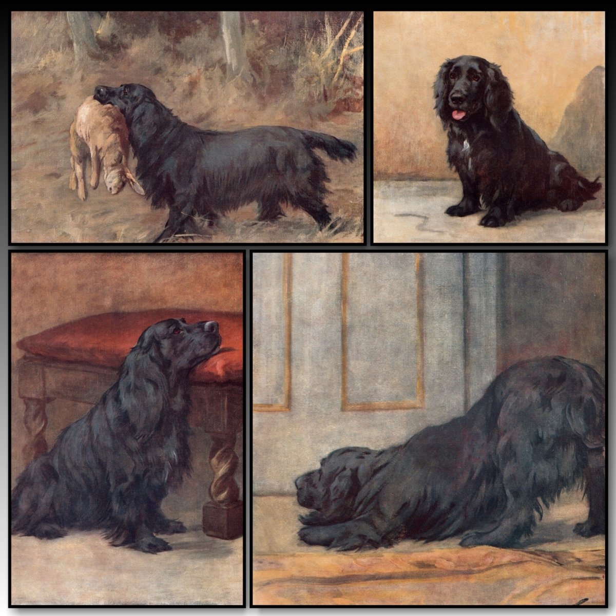 Memories 1919 - Maud Earl - 4 images | A snapshot of the images