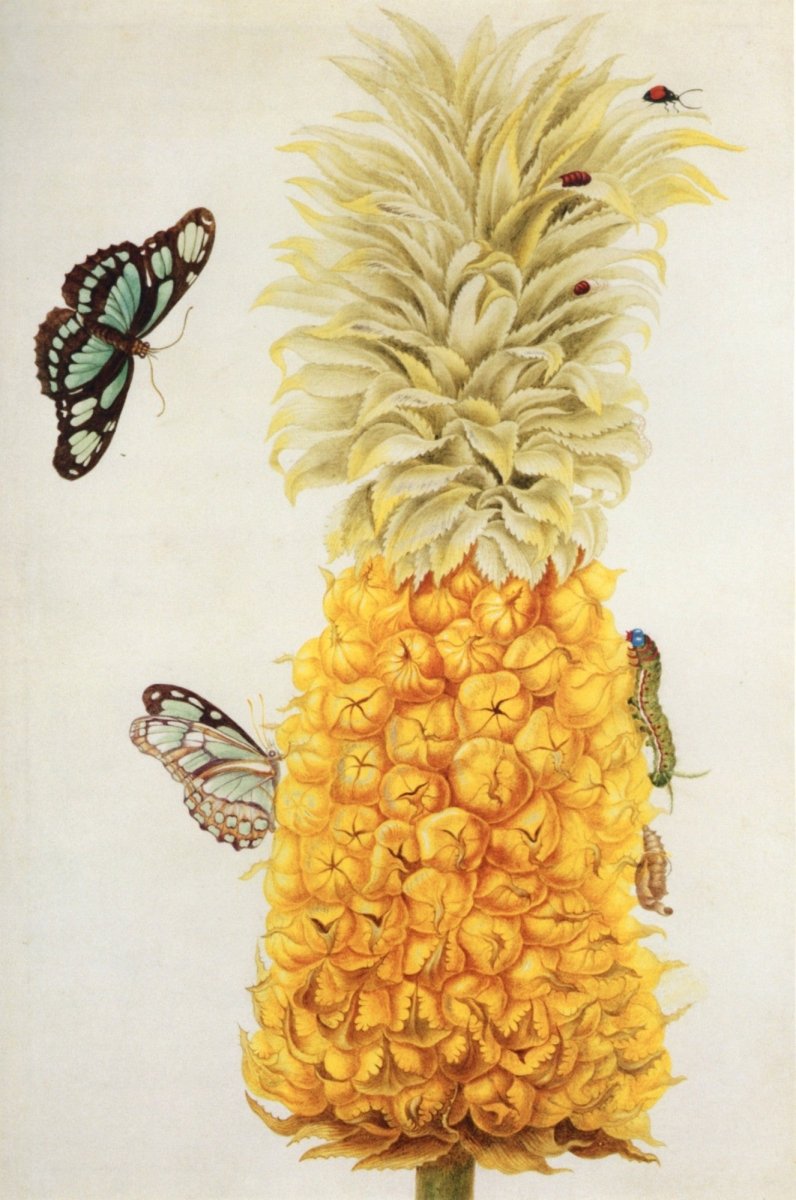 Women Artists - 180 images to download | Dimensions 3661 x 5523 pixels