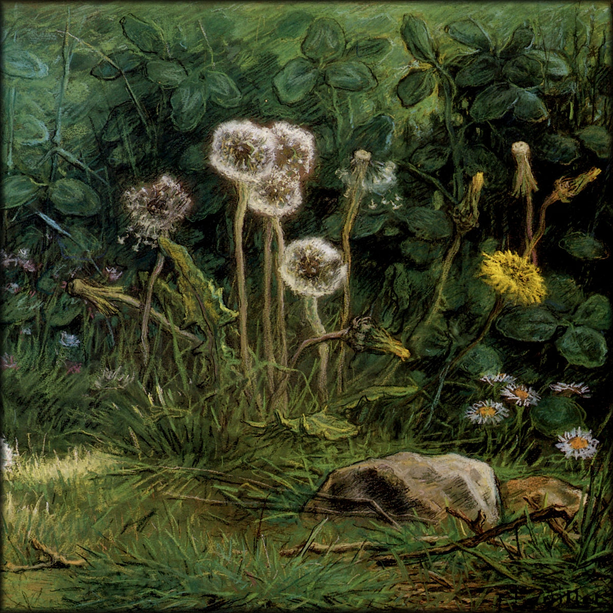 Digital Download - 2 images