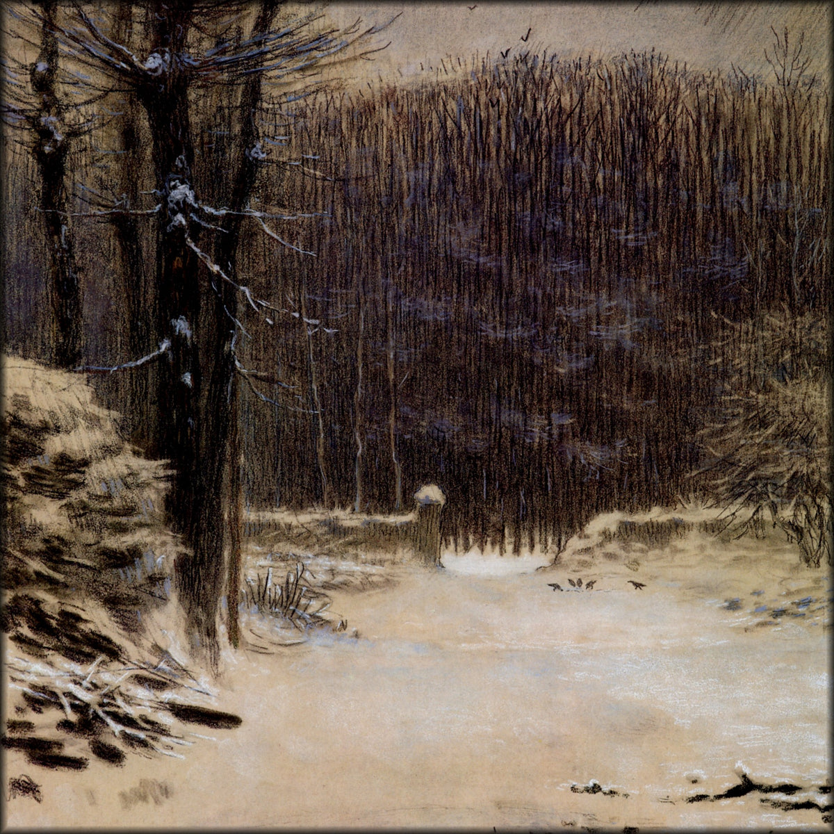 Digital Download - 1 image