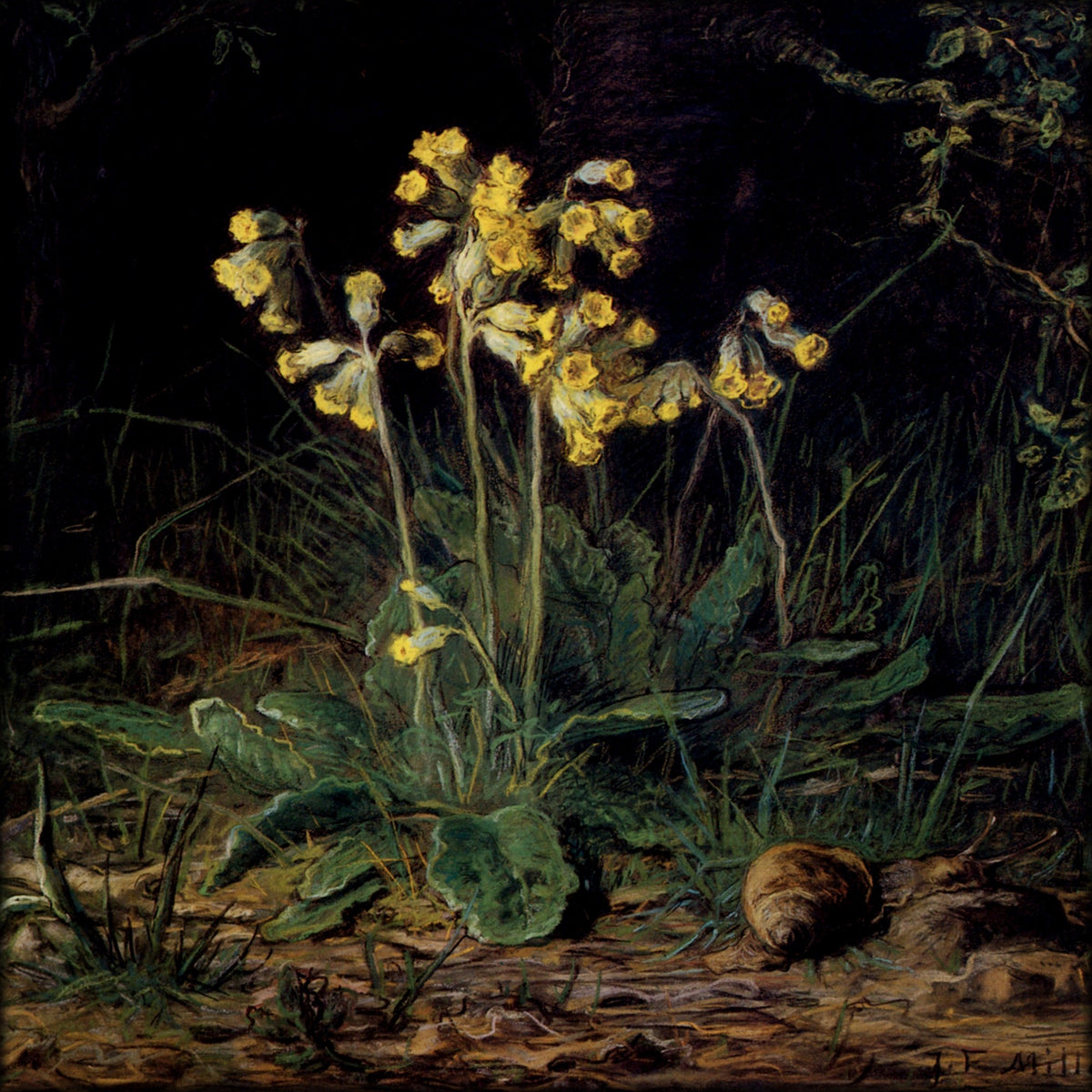 Digital Download - 1 image