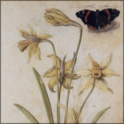 Digital Download - 1 image