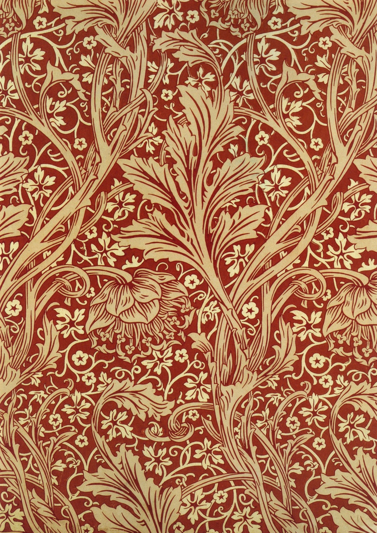 William Morris 39 Public Domain Wallpaper Images to Download | Dimensions 5676 x 8016 pixels