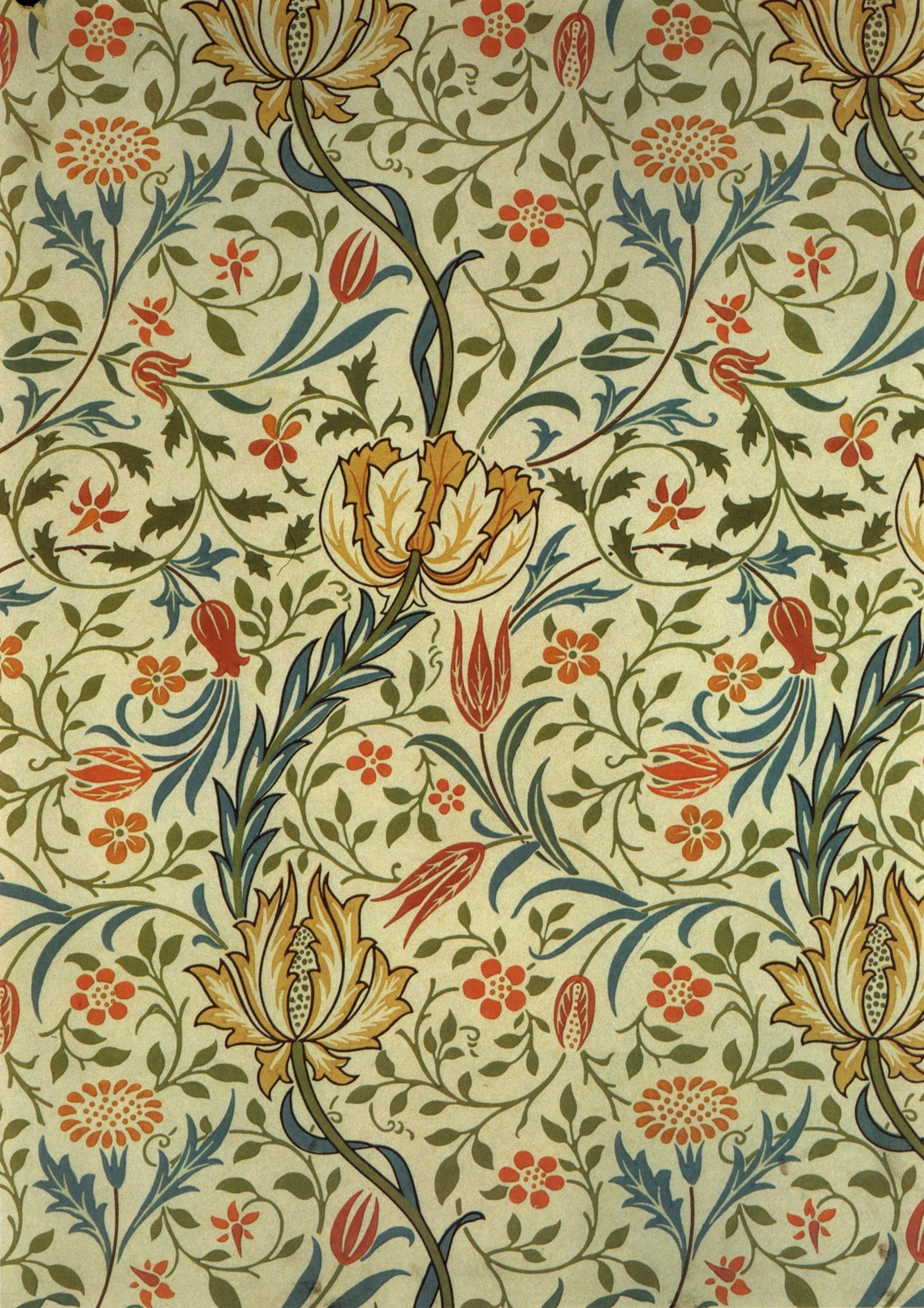 William Morris 39 Public Domain Wallpaper Images to Download | Dimensions 5663 x 8008 pixels