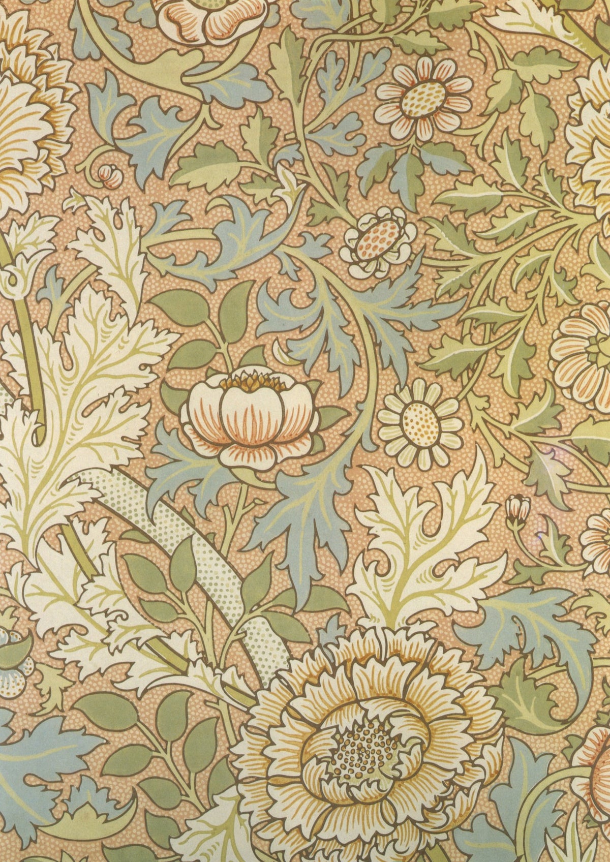 William Morris 39 Public Domain Wallpaper Images to Download | Dimensions 5672 x 8016 pixels