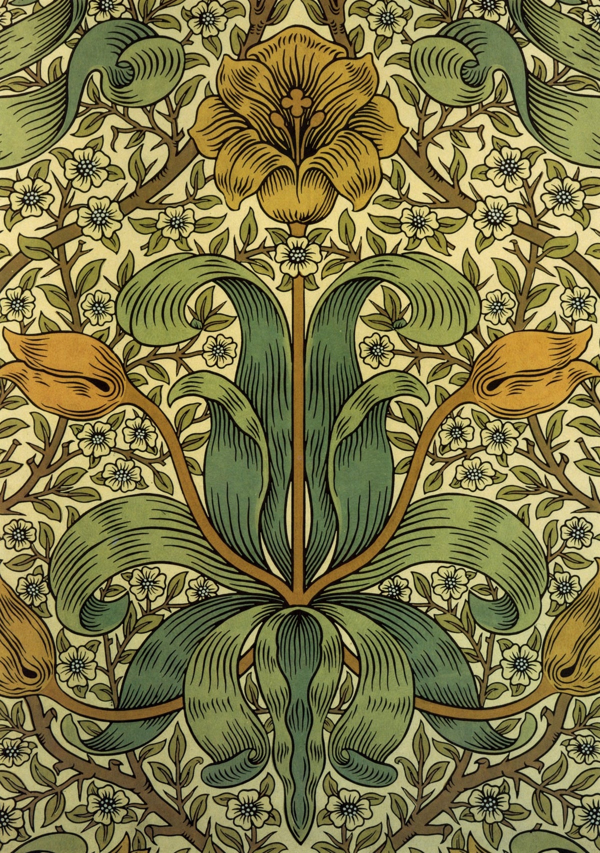 William Morris 39 Public Domain Wallpaper Images to Download | Dimensions 5640 x 8010 pixels