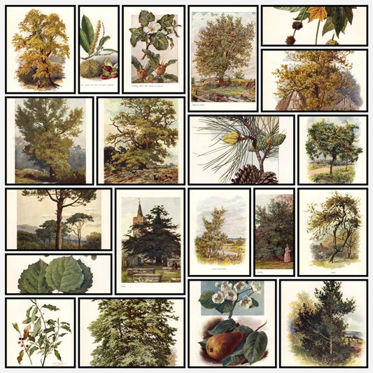 A snapshot of some of the images