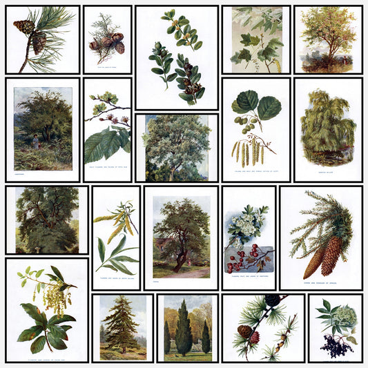 A snapshot of some of the images