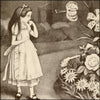 Alice Through the Looking Glass 1902 - Peter Newell (1862-1924) - 40 images