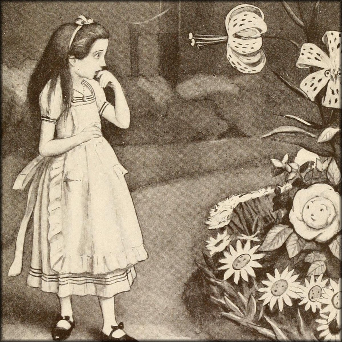Through the Looking Glass 1902 - Peter Newell (1862-1924) - 40 images | Digital Download - 40 images