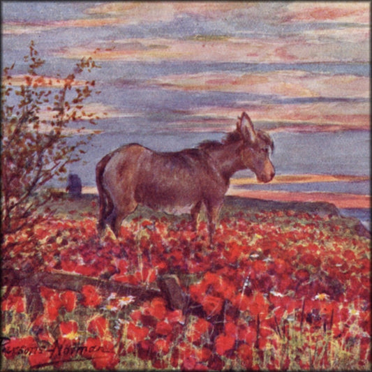 Poppyland c.1913 - G. Parsons Normal (1840-1914) | Digital Download - 12 images