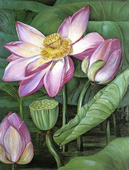 Marianne North Botanical Artwork in the Public Domain | Dimensions 4431 x 5817 pixels
