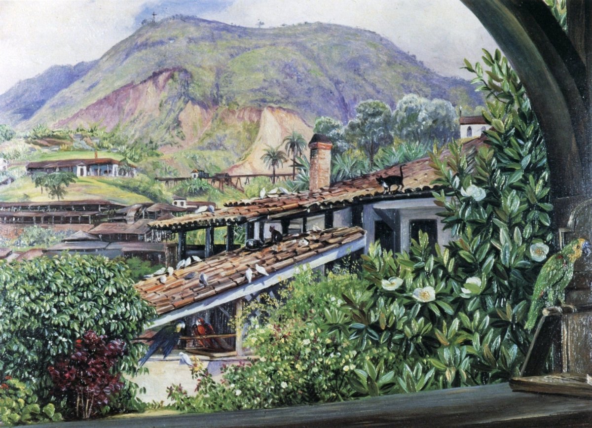 Marianne North Botanical Artwork in the Public Domain | Dimensions 5600 x 4053 pixels