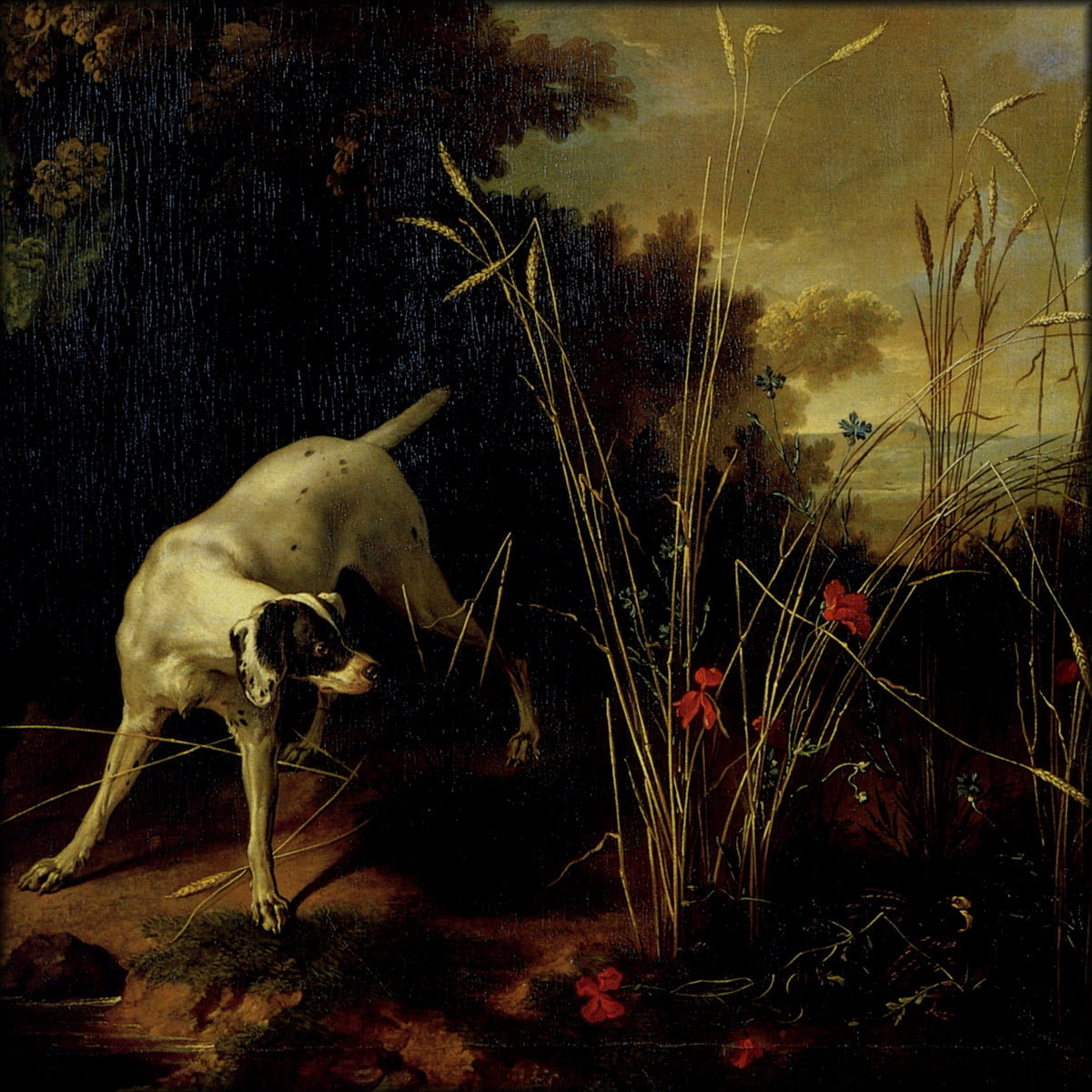 Digital Download - 1 image