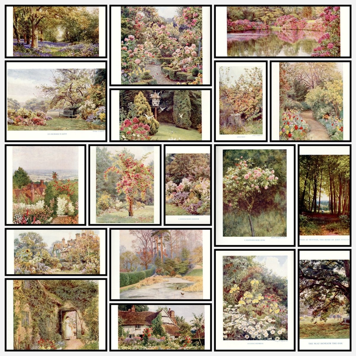 A snapshot of some of the images