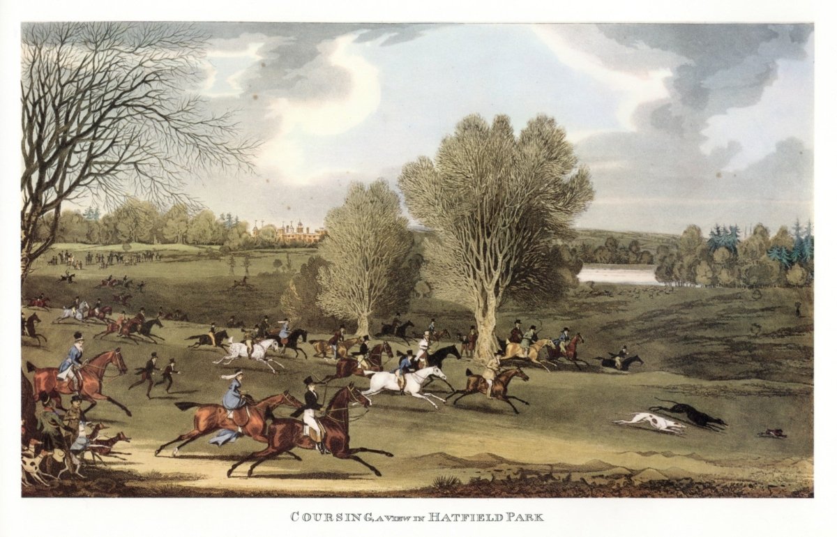James Pollard - Coursing in Hatfield Park 1824 | Dimensions 8703 x 5589 pixels