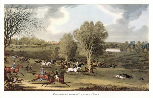 James Pollard - Coursing in Hatfield Park 1824 | Dimensions 8703 x 5589 pixels