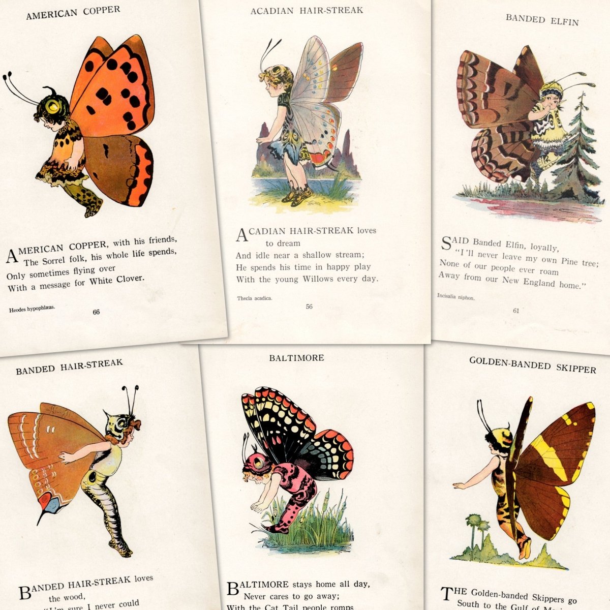 Butterfly Babies 1914 - Marion T. 'Penny' Ross - 63 images | A snapshot of some of the images