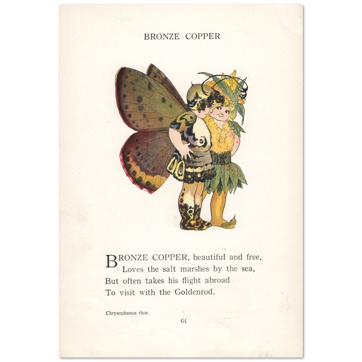 Butterfly Babies 1914 - Marion T. 'Penny' Ross - 63 images | Dimensions 3510 x 5085 pixels