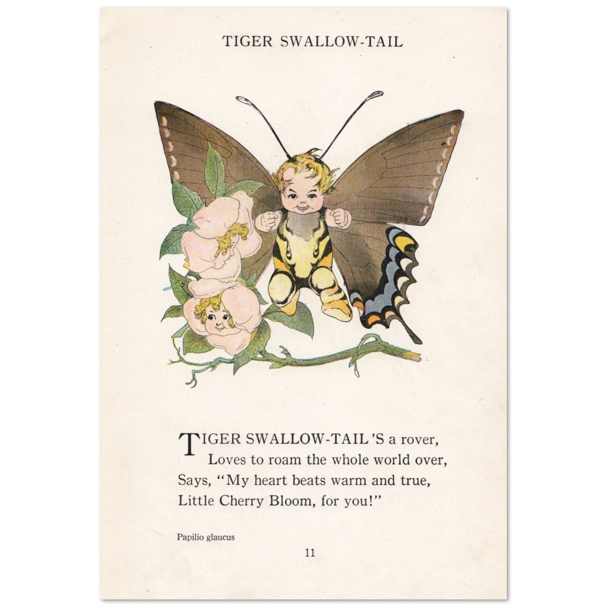 Butterfly Babies 1914 - Marion T. 'Penny' Ross - 63 images | Dimensions 3283 x 4781 pixels