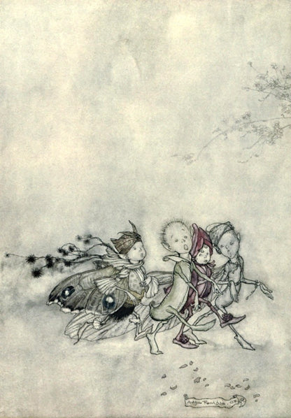 A Midsummer Night's Dream, 1908 - Arthur Rackham - 39 images | Dimensions 1955 x 2810 pixels