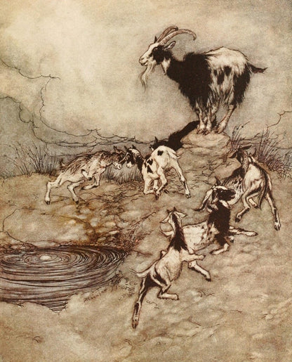 Snowdrop & other Tales 1920 - Arthur Rackham - 13 images | Dimensions 1448 x 1792 pixels